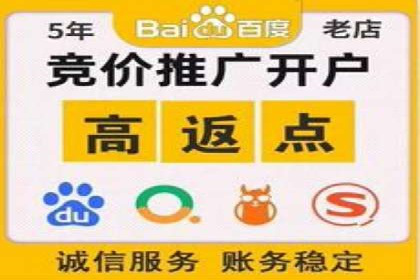 案例解读：SEM代理助力电商销量翻倍